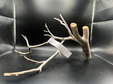 Manzanita Wood Small | MWS3