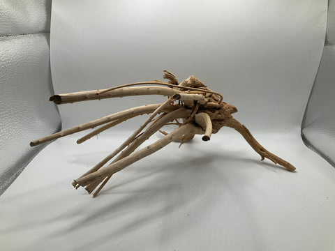 Spider Wood Medium | W2