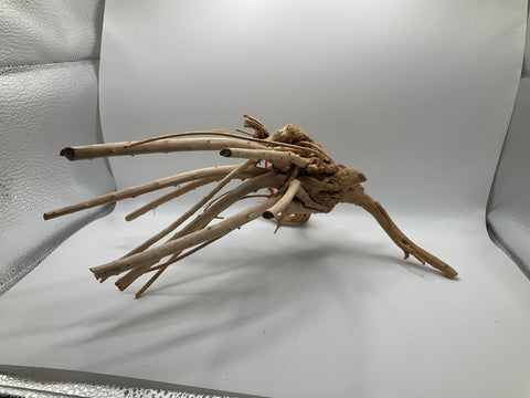 Spider Wood Medium | W2