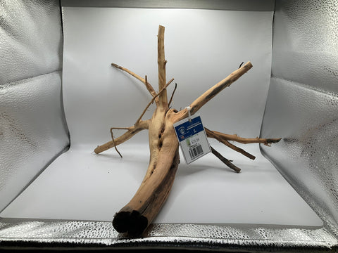 Ghost Wood Large | W3