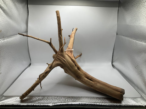 Ghost Wood Large | W3