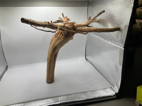 Ghost Wood Large | W3