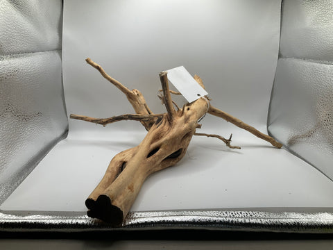 Ghost Wood Large | W4