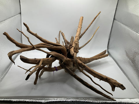 Spider Wood Large | W9