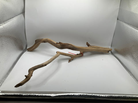 Manzanita Medium | W11