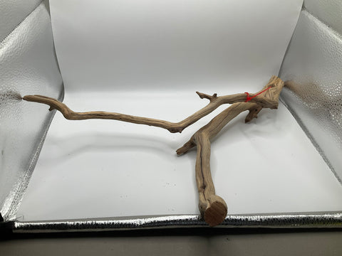 Manzanita Medium | W11