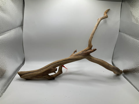 Manzanita Medium | W11