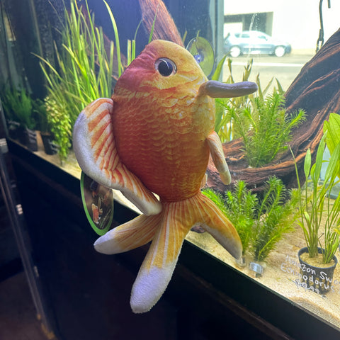 Goldfish Plushie