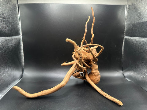 Spider Wood SM | W28