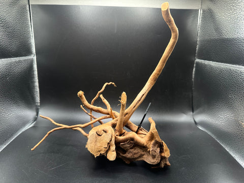 Spider Wood SM | W28