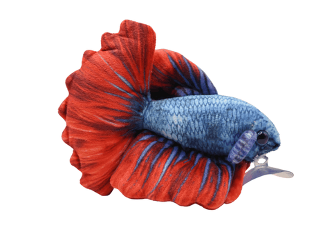 Betta Plushie