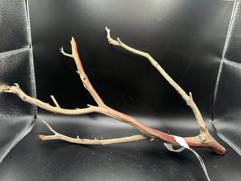 Manzanita Wood Small | MWS4