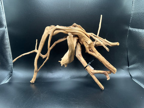 Spider Wood SM | W22