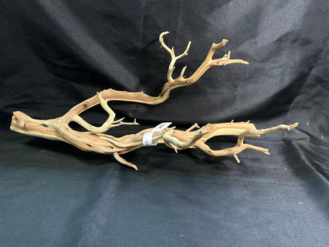 Ghostwood Large | W30