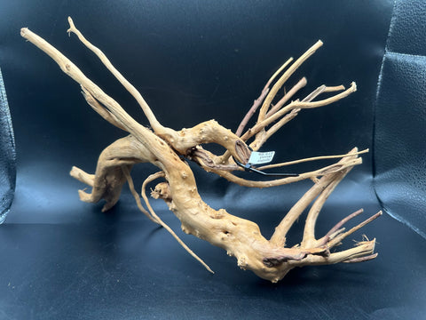 Spider Wood SM | W23