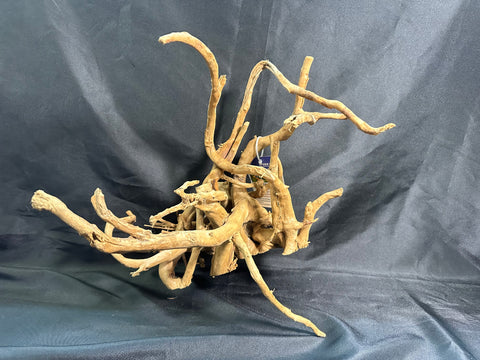 Spider Wood XL | W18