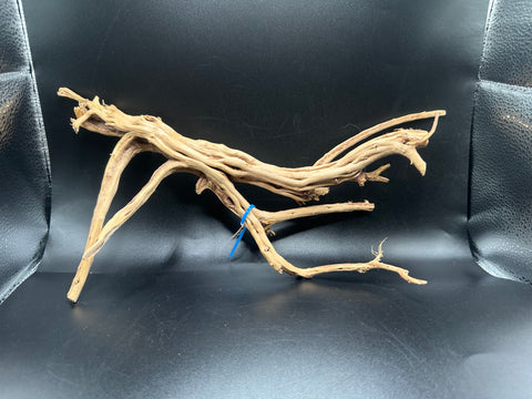 Spider Wood SM | W27