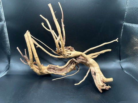 Spider Wood SM | W23