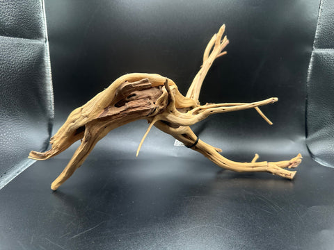 Spider Wood SM | W26