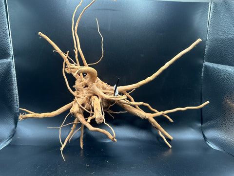 Spider Wood SM | W25