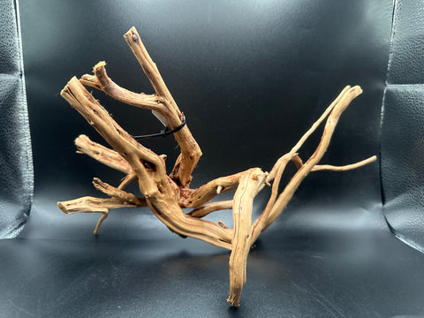 Spider Wood SM | W22