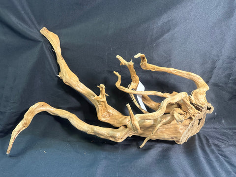 Spider Wood XXL | W19