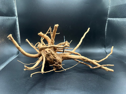 Spider Wood SM | W25