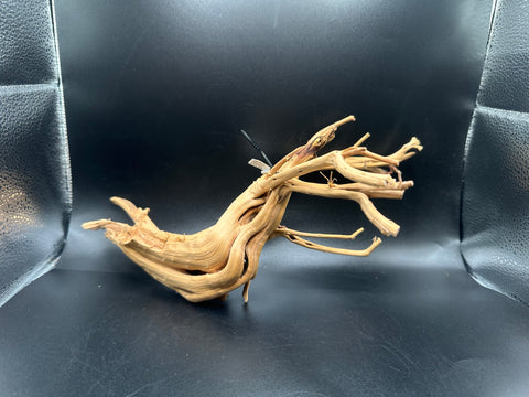 Spider Wood SM | W26