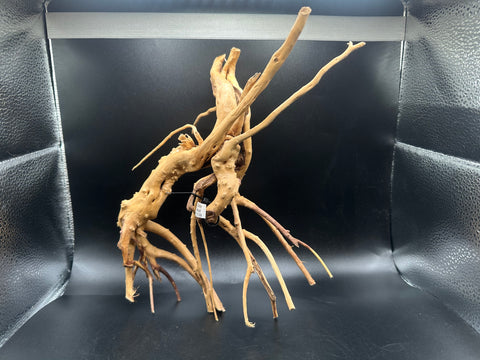 Spider Wood SM | W23