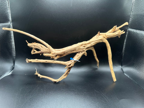 Spider Wood SM | W27