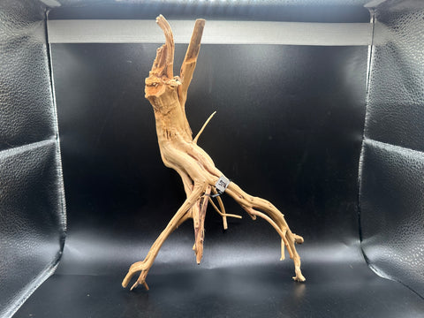 Spider Wood SM | W26