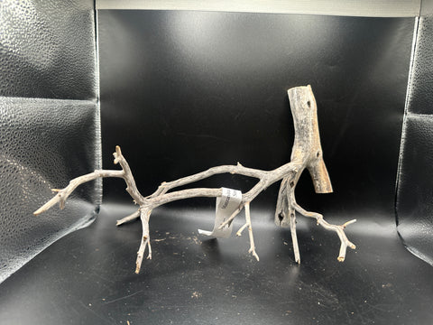 Manzanita Wood Small | MWS3
