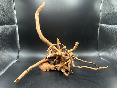 Spider Wood SM | W28