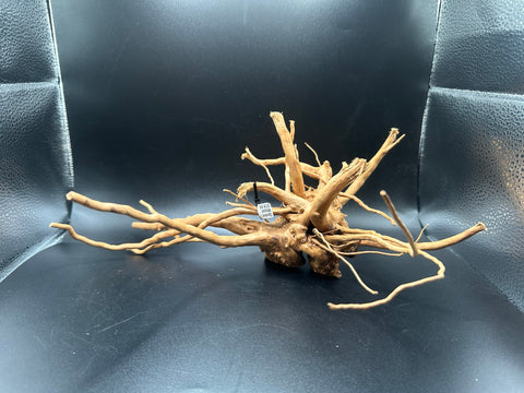 Spider Wood SM | W25