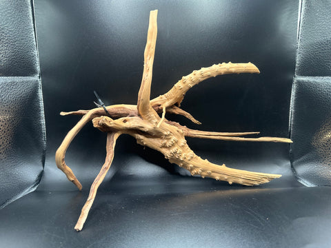 Spider Wood SM | W24