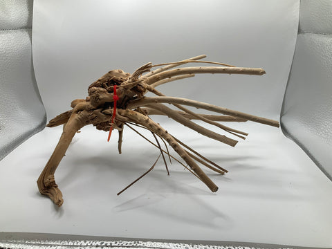 Spider Wood Medium | W2
