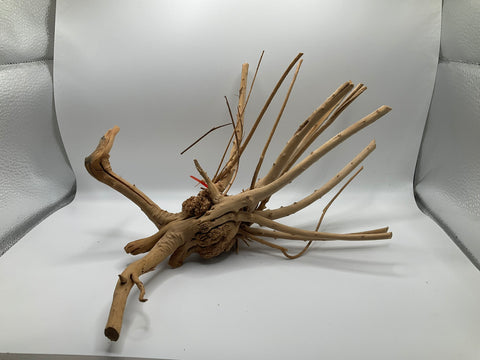 Spider Wood Medium | W2