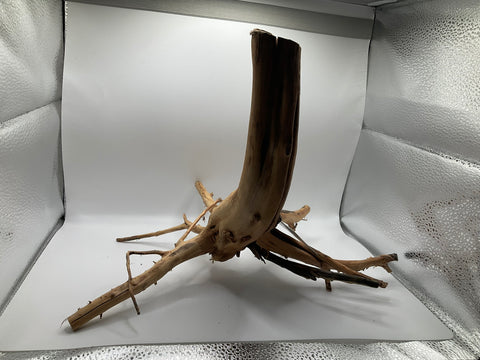 Ghost Wood Large | W3