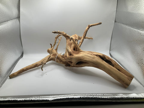 Ghost Wood Large | W4