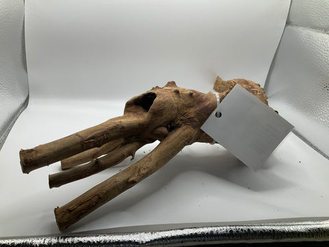 Ghost Wood Medium | W6
