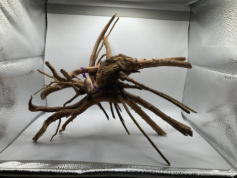 Spider Wood Large | W9