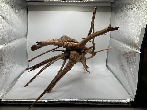 Spider Wood Large | W9