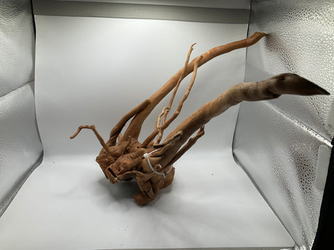 Spider Wood Large | W10