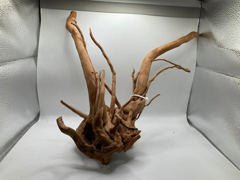Spider Wood Large | W10