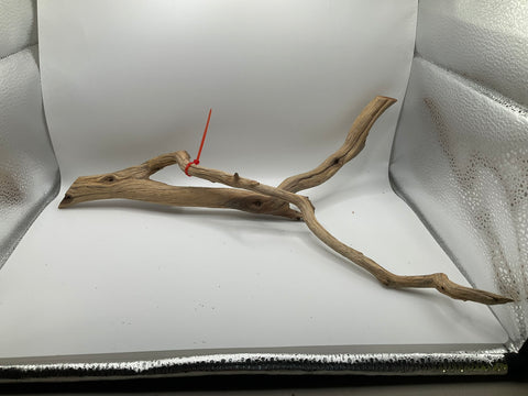 Manzanita Medium | W11