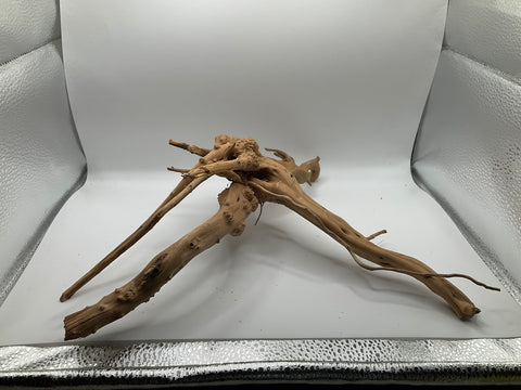 Spider Wood Medium | W12