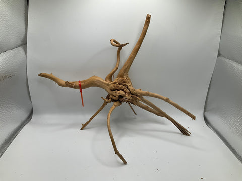 Spider Wood Medium | W13
