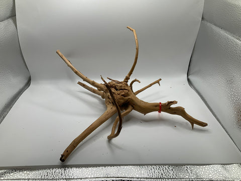 Spider Wood Medium | W13