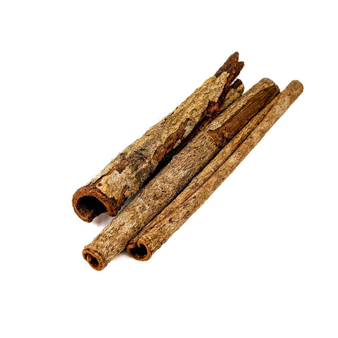 Indian Almond Catappa Tree Bark